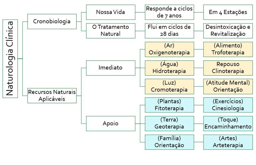 IDEIA PARA O SITE RENOVADO. 05.1 - folga da imagem em baixo